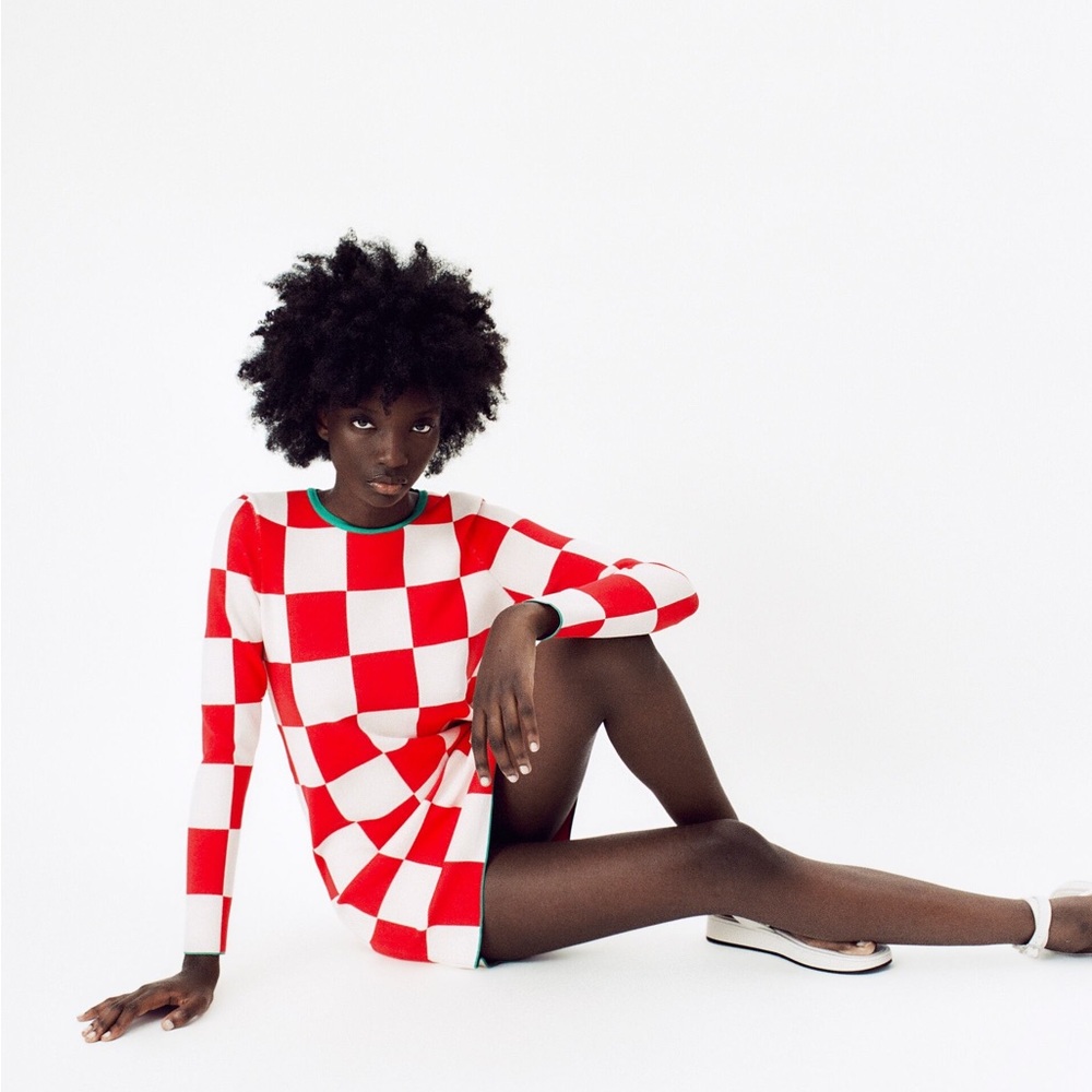 Zara Red & White
Checkered Mod Style Mini dress Size Small